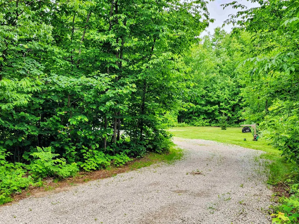 4801 Norway Drive Star Township MI 49730