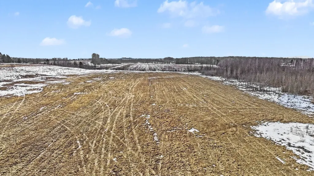 Parcel 1 & 2 Coleman Road Torch Lake Township MI 49648