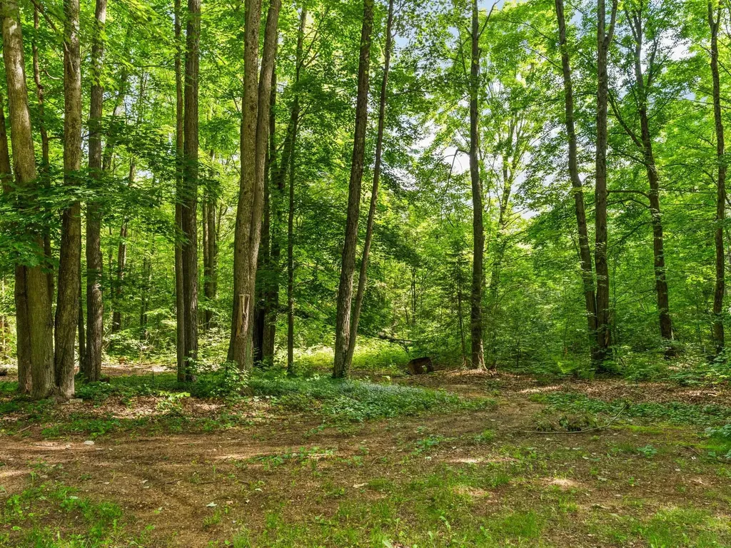 3527 S 31 Road Selma Township MI 49601