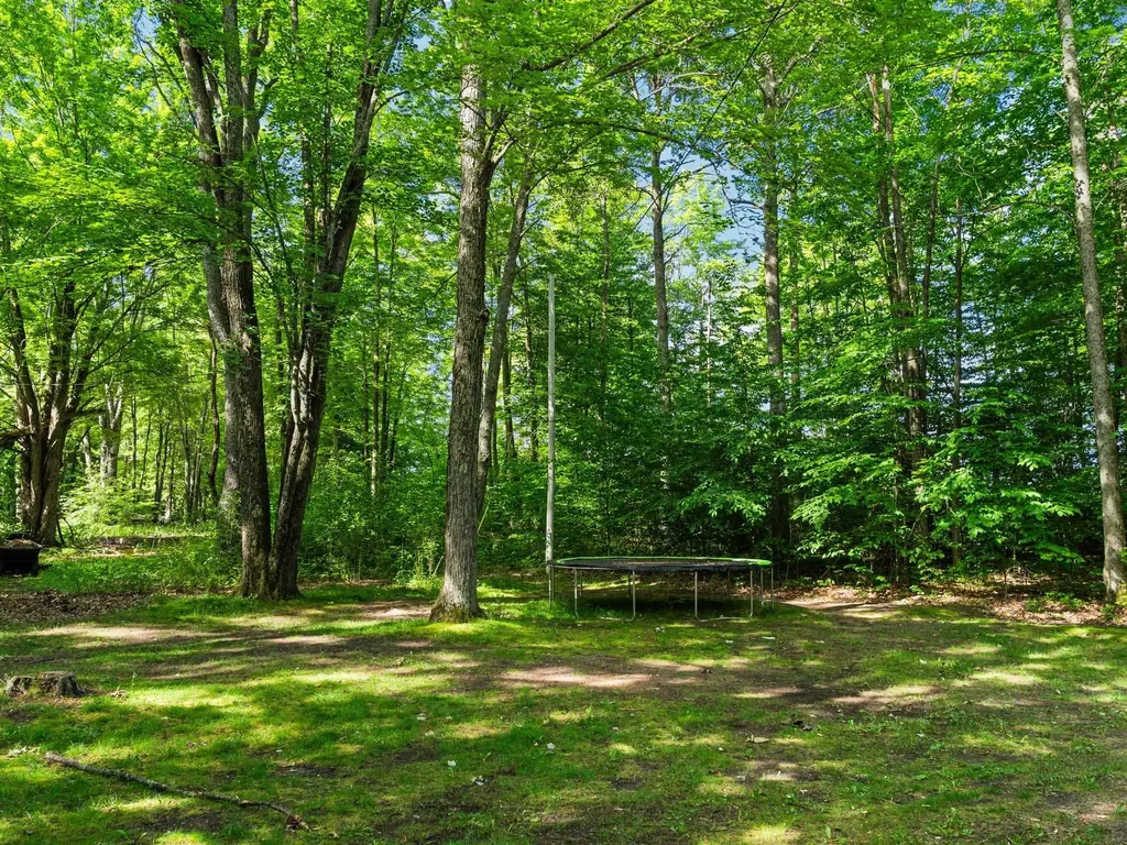 3527 S 31 Road Selma Township MI 49601