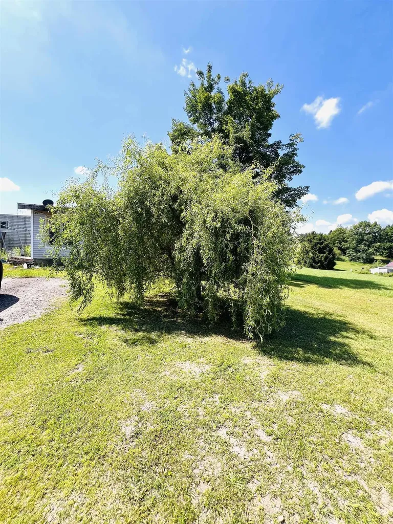 111 Eastland Drive Rose Lake Township MI 49655