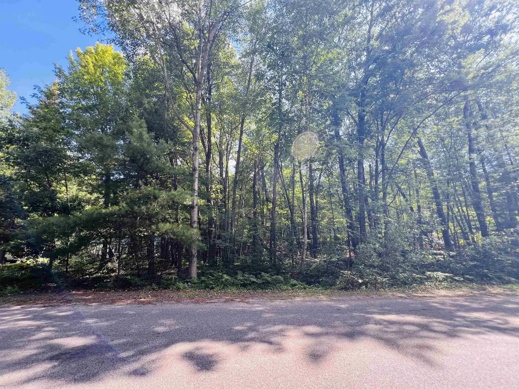 Lot 789 Redwine Roscommon Township MI 48653