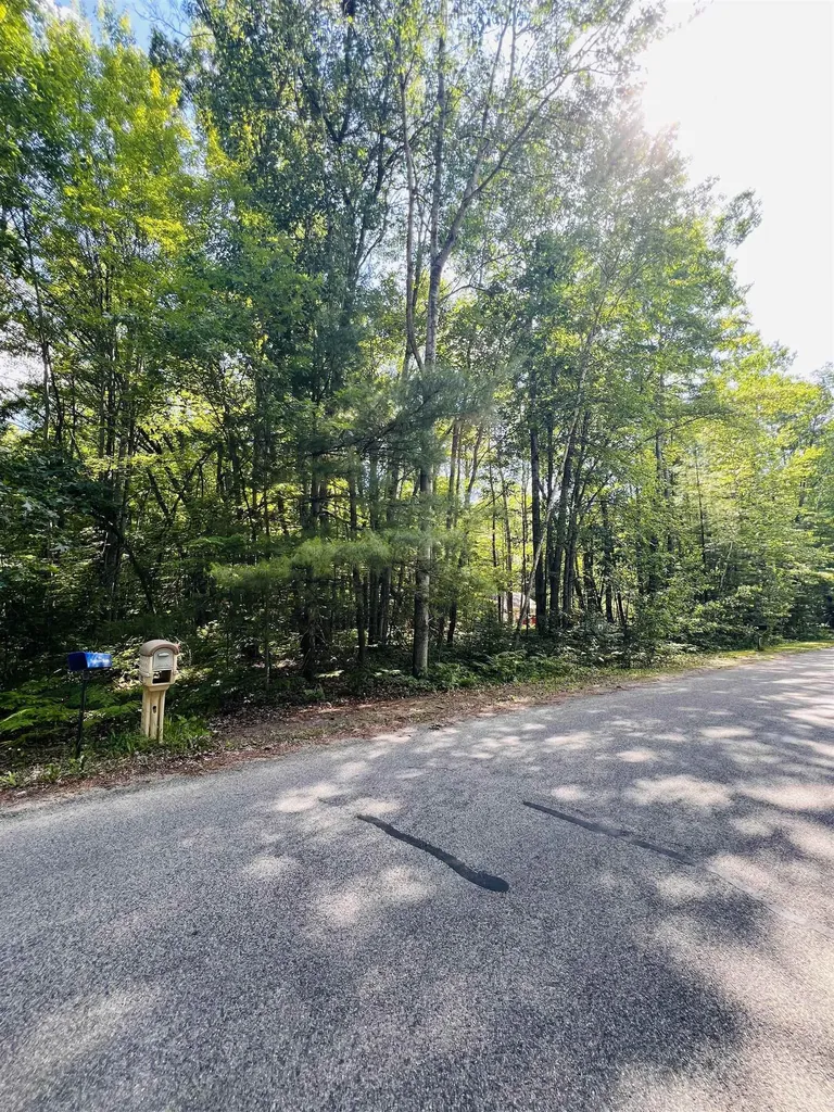 Lot 789 Redwine Roscommon Township MI 48653