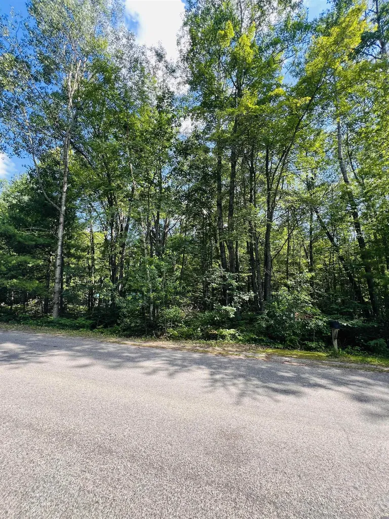 Lot 789 Redwine Roscommon Township MI 48653