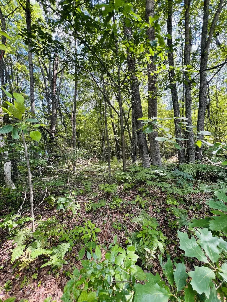 Lot 789 Redwine Roscommon Township MI 48653