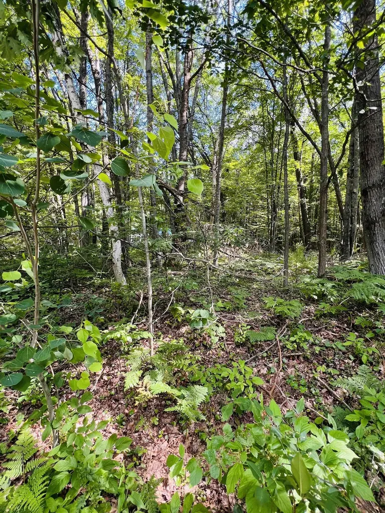 Lot 789 Redwine Roscommon Township MI 48653