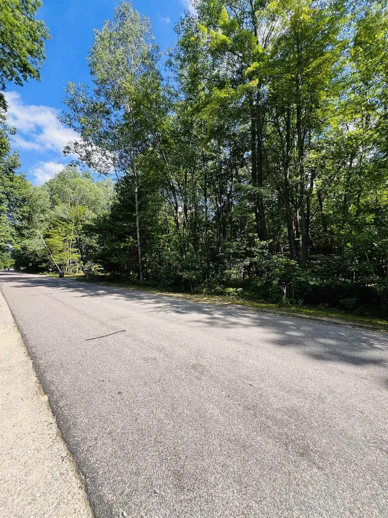 Lot 789 Redwine Roscommon Township MI 48653