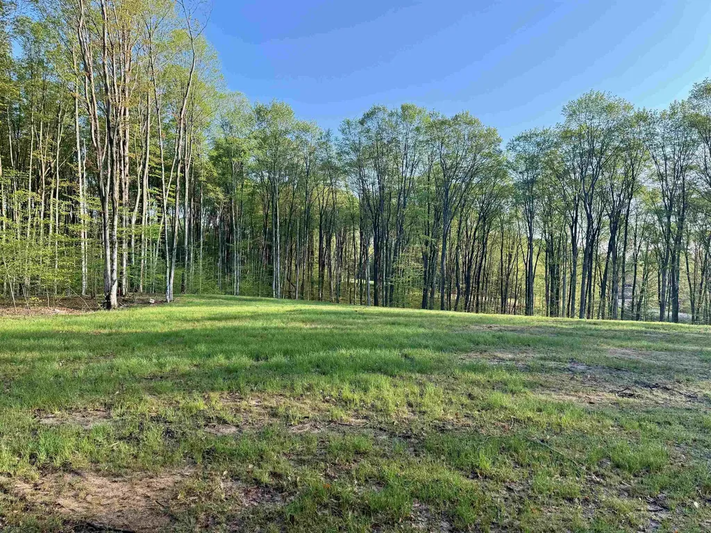 001 S Bright Road Kasson Township MI 49664
