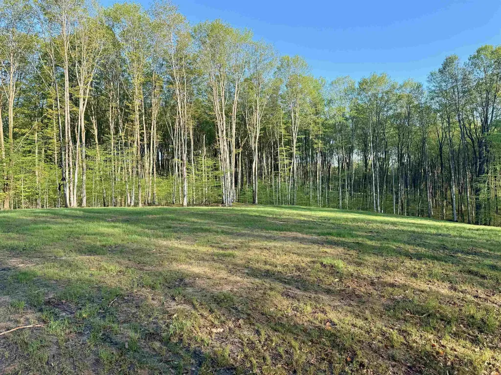 001 S Bright Road Kasson Township MI 49664