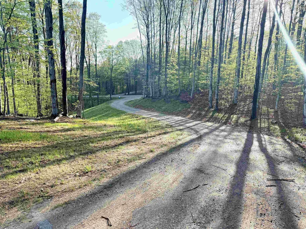 001 S Bright Road Kasson Township MI 49664