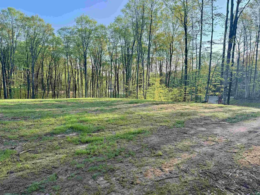 001 S Bright Road Kasson Township MI 49664