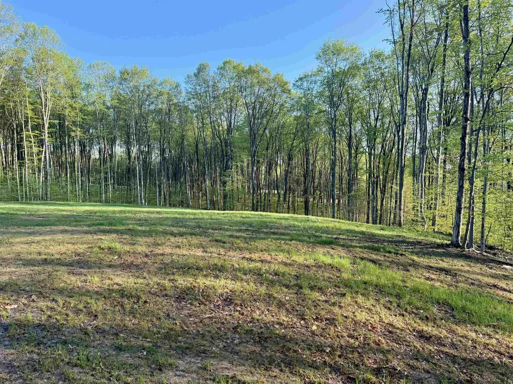 001 S Bright Road Kasson Township MI 49664
