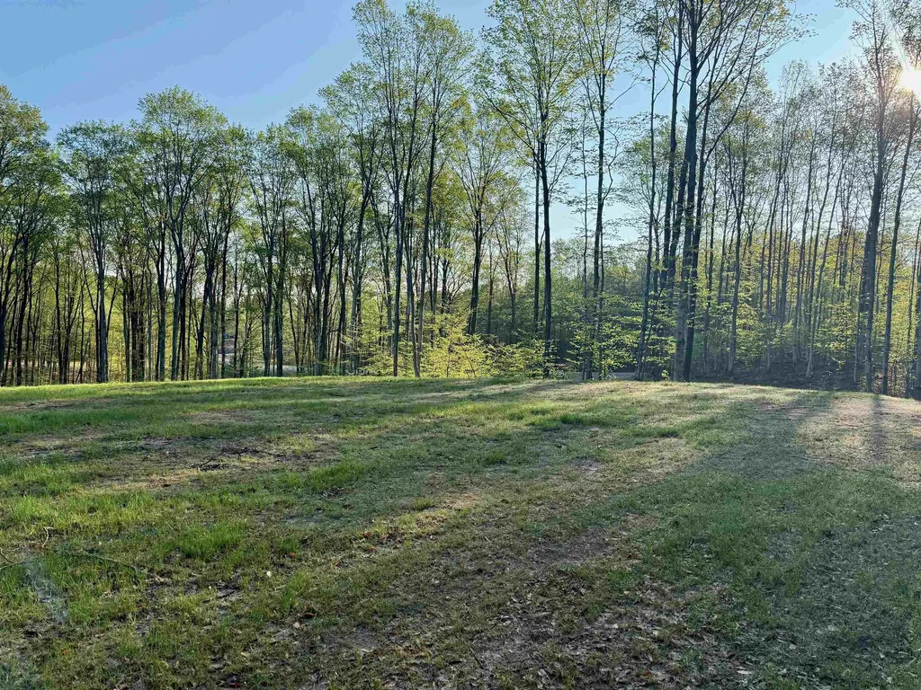 001 S Bright Road Kasson Township MI 49664