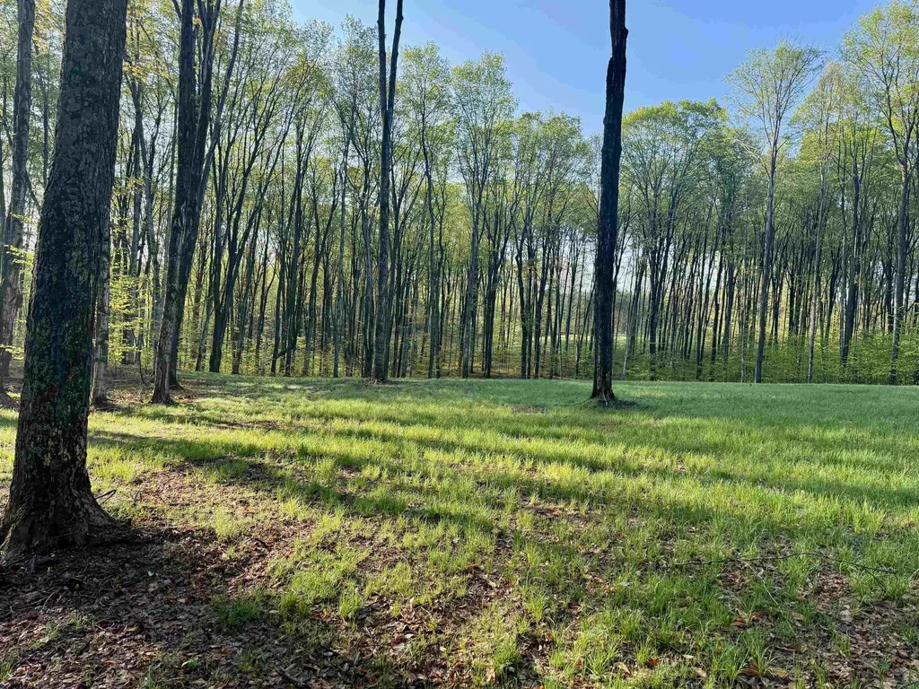 02 S Bright Road Kasson Township MI 49664