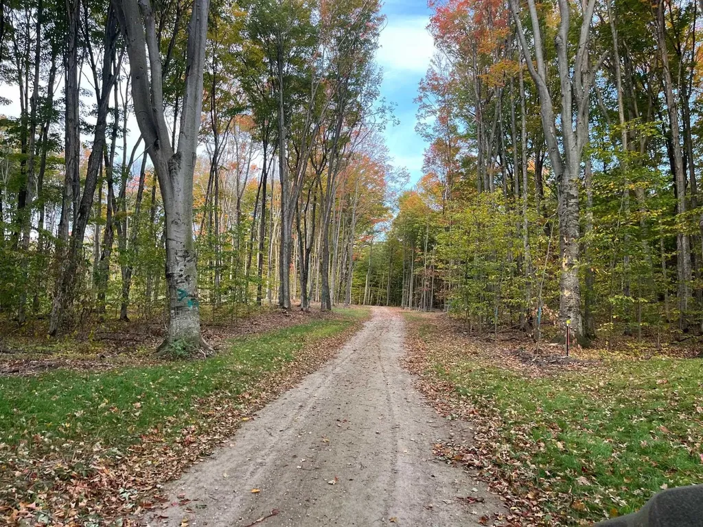 02 S Bright Road Kasson Township MI 49664
