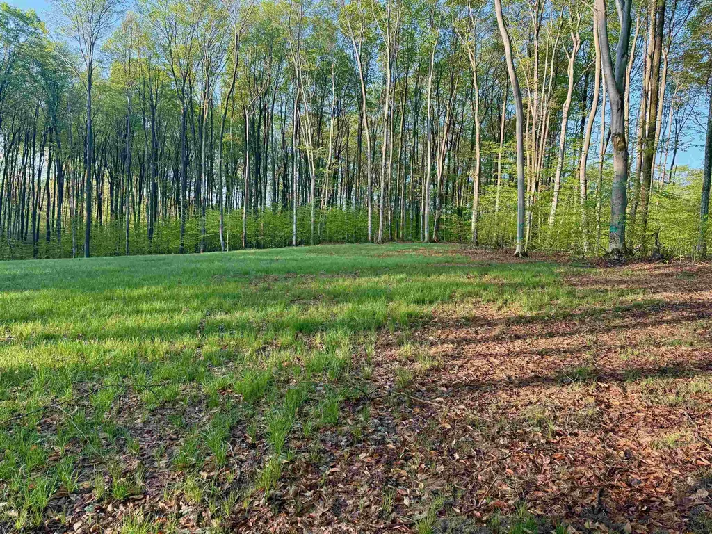 02 S Bright Road Kasson Township MI 49664