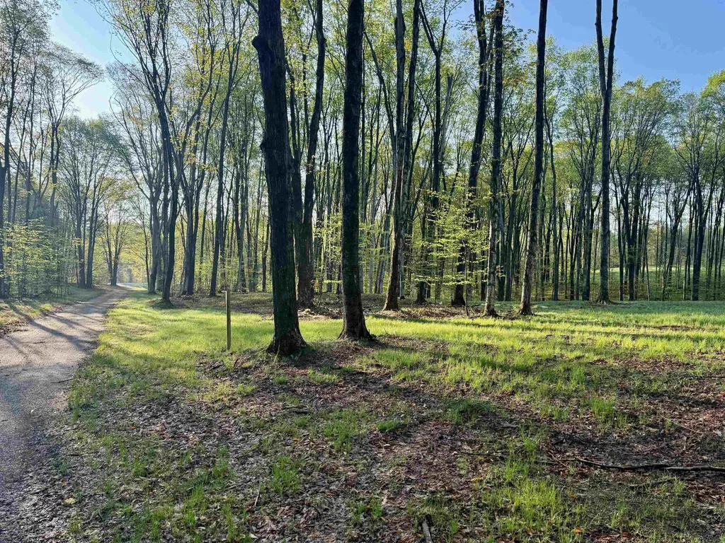02 S Bright Road Kasson Township MI 49664