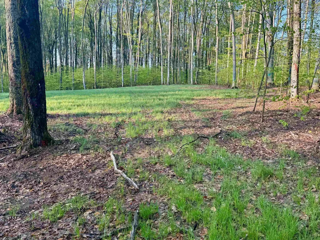 02 S Bright Road Kasson Township MI 49664
