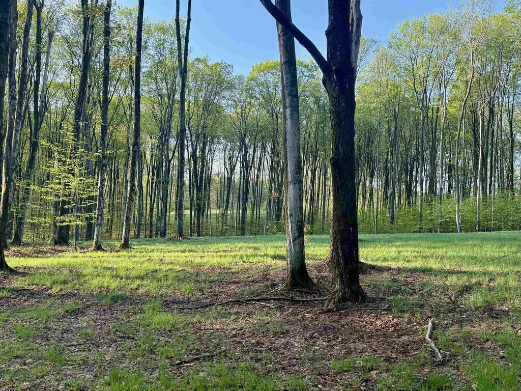 02 S Bright Road Kasson Township MI 49664