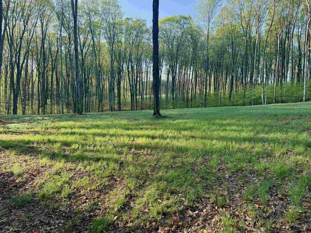 02 S Bright Road Kasson Township MI 49664