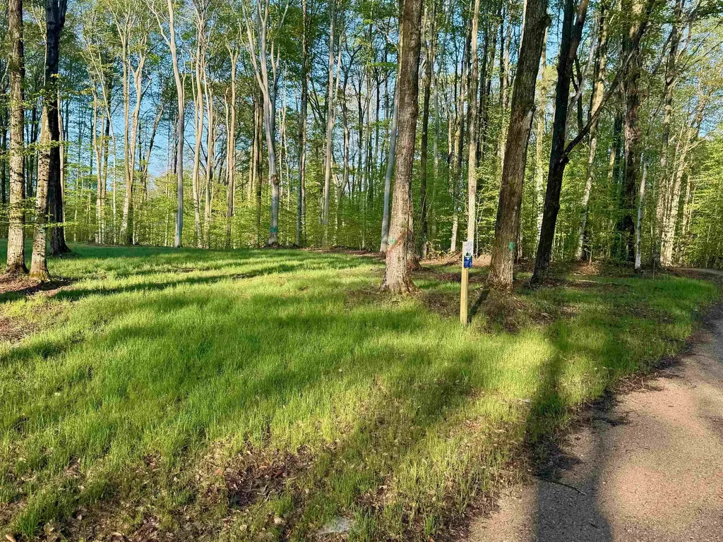 02 S Bright Road Kasson Township MI 49664