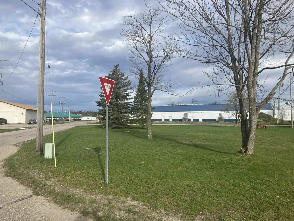 213 Hyde Street Kalkaska Township MI 49646