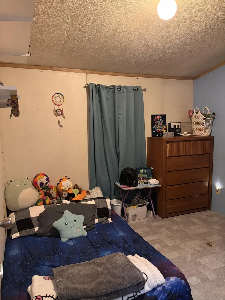 3865 Blueberry Lane Homestead Township MI 49640