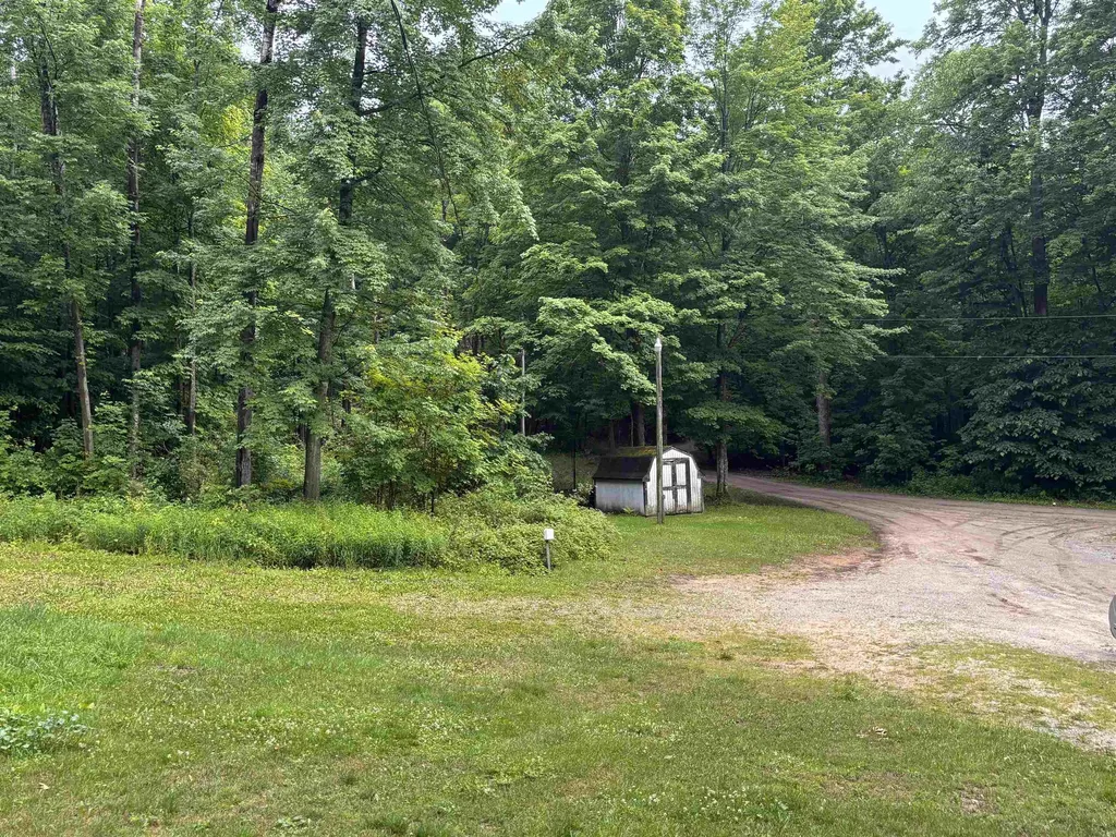 3865 Blueberry Lane Homestead Township MI 49640
