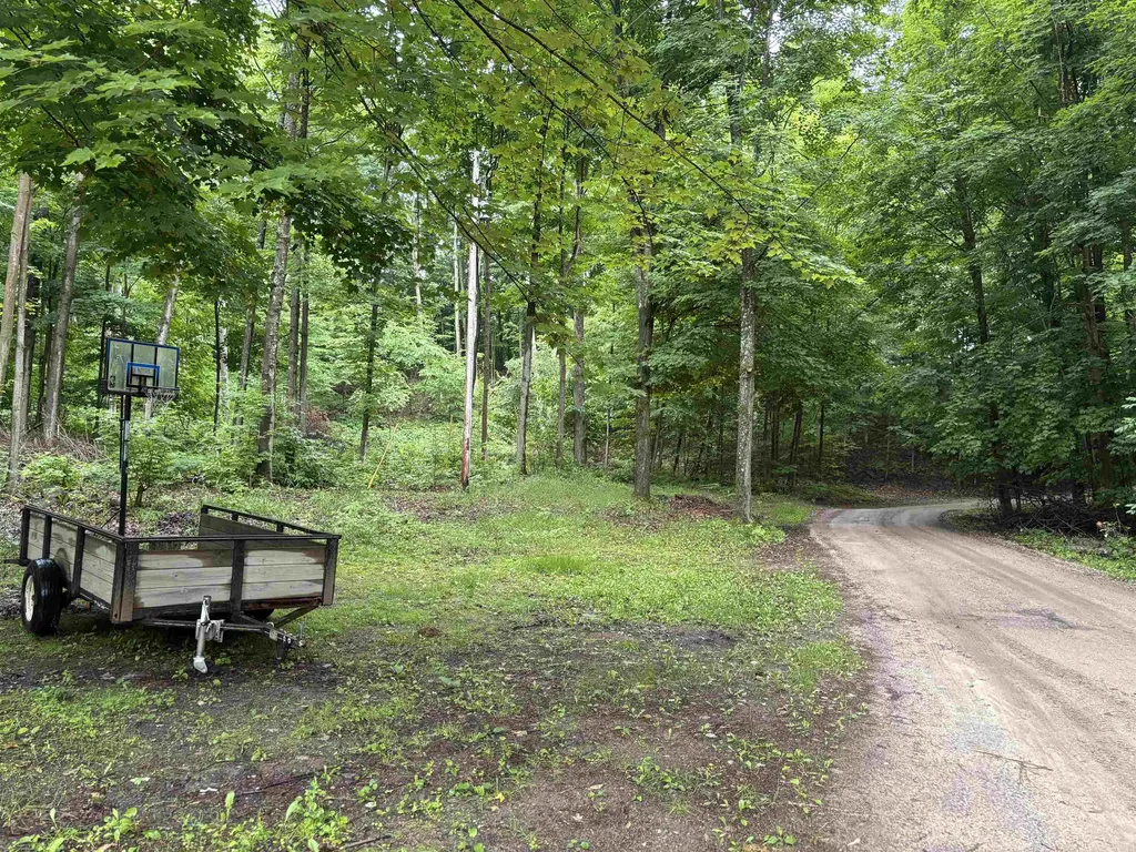 3865 Blueberry Lane Homestead Township MI 49640