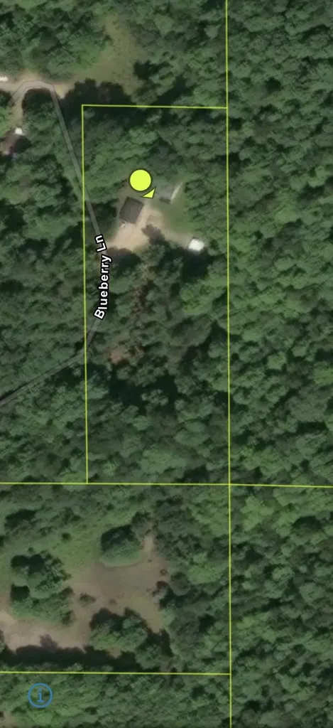 3865 Blueberry Lane Homestead Township MI 49640