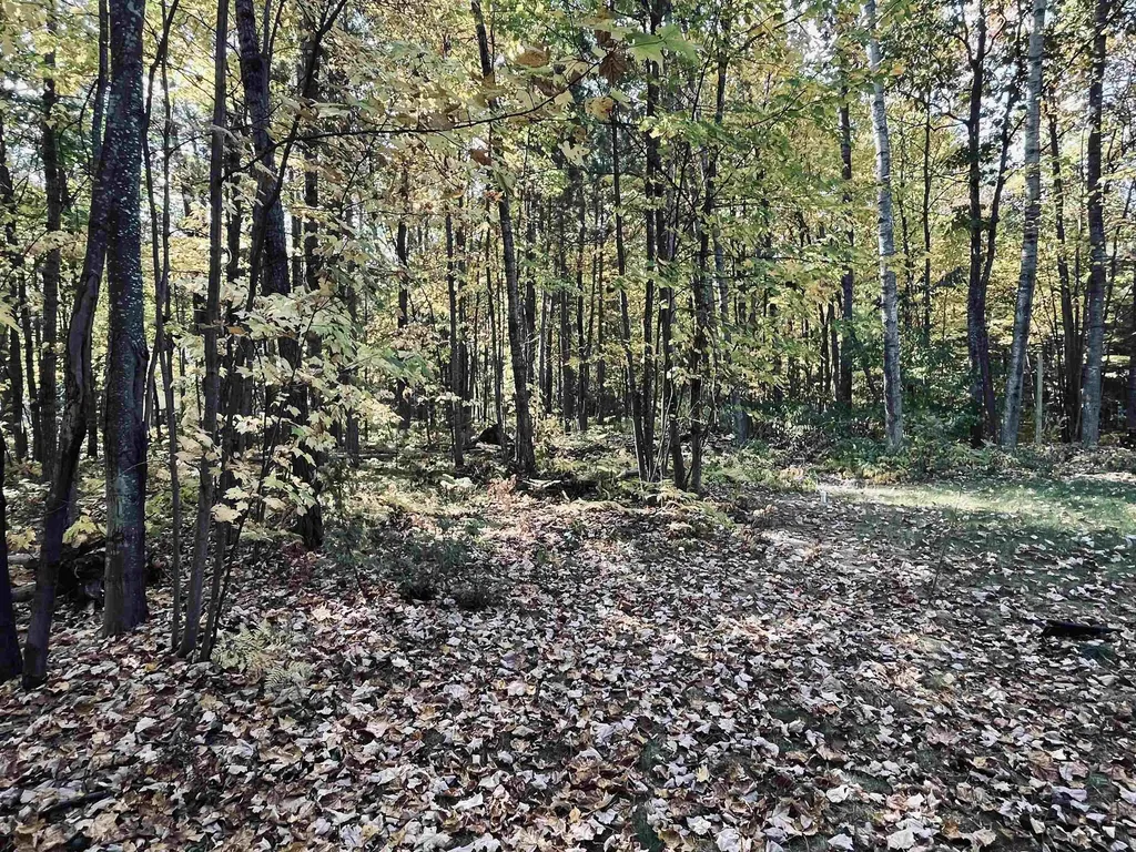 1967 NE Fairways Drive Kalkaska Township MI 49646