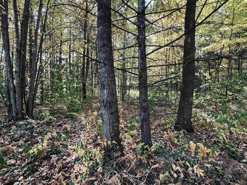 1967 NE Fairways Drive Kalkaska Township MI 49646