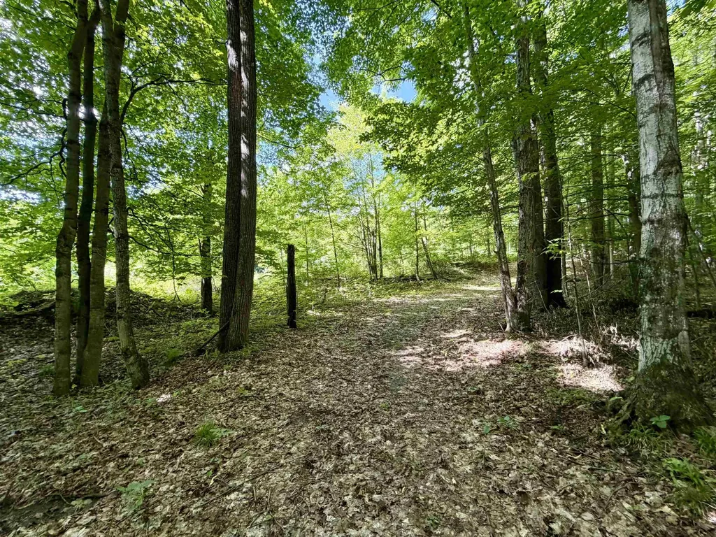 10 Broken Club Drive Custer Township MI 49615