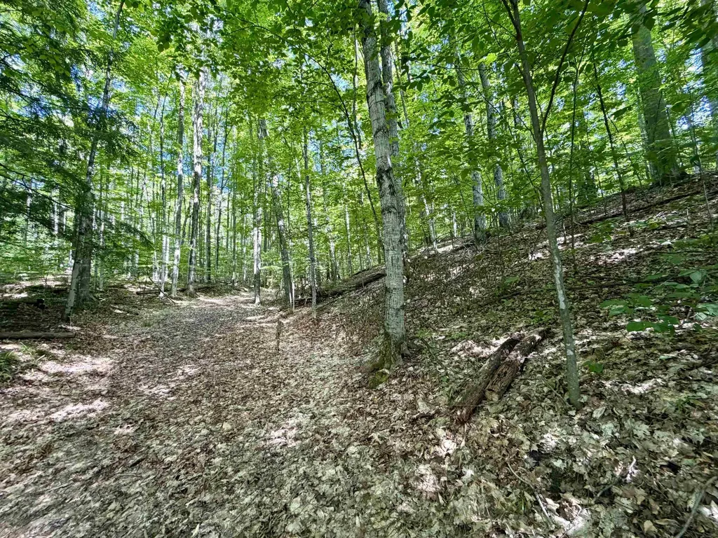 10 Broken Club Drive Custer Township MI 49615