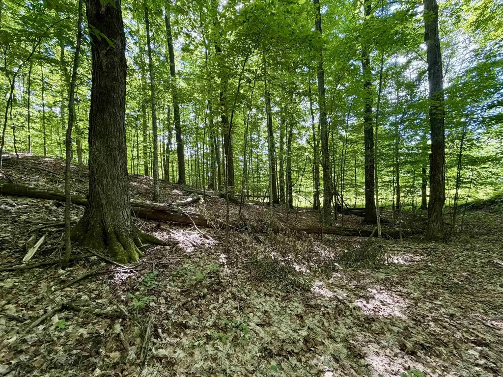 10 Broken Club Drive Custer Township MI 49615