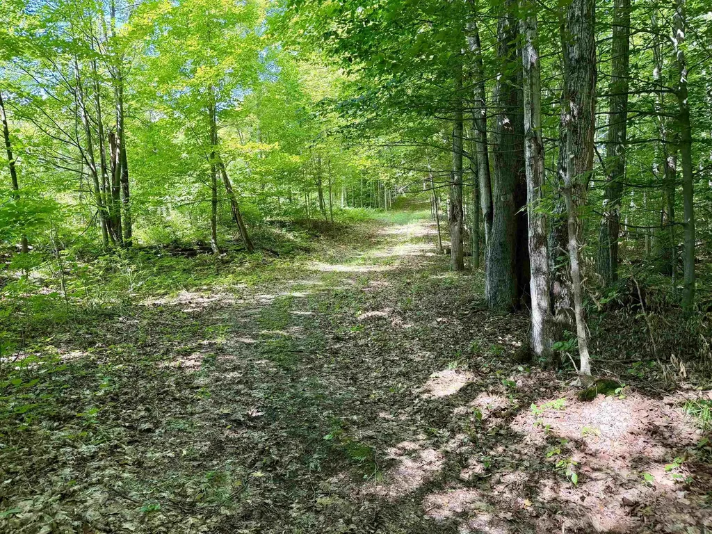 10 Broken Club Drive Custer Township MI 49615