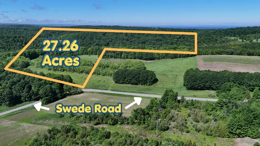 N Swede Road Leelanau Township MI 49670