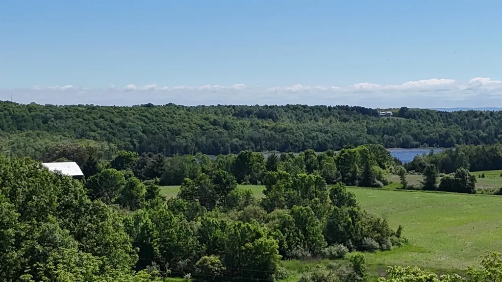 N Swede Road Leelanau Township MI 49670