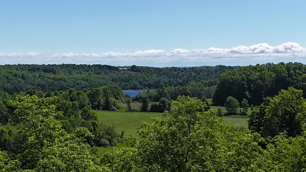 N Swede Road Leelanau Township MI 49670