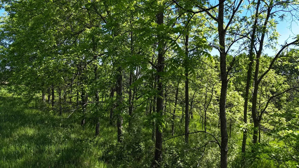 N Swede Road Leelanau Township MI 49670
