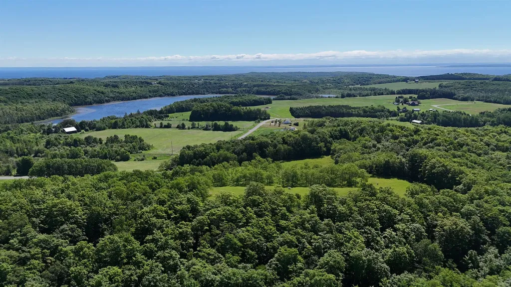 N Swede Road Leelanau Township MI 49670