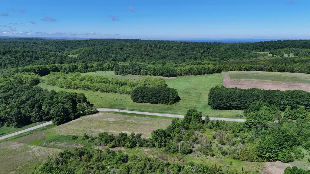 N Swede Road Leelanau Township MI 49670