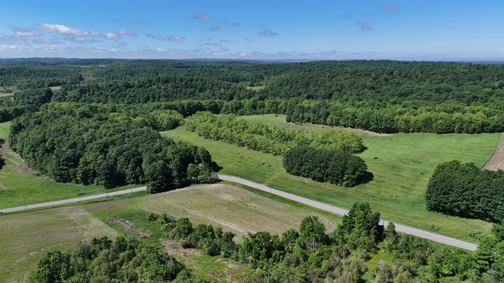 N Swede Road Leelanau Township MI 49670