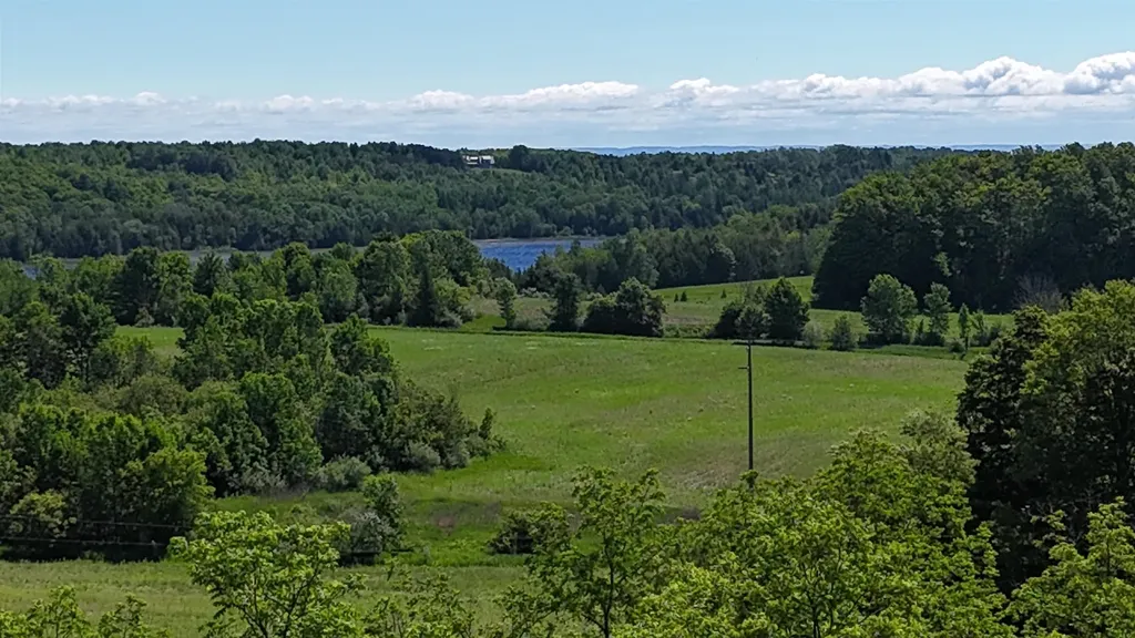 N Swede Road Leelanau Township MI 49670