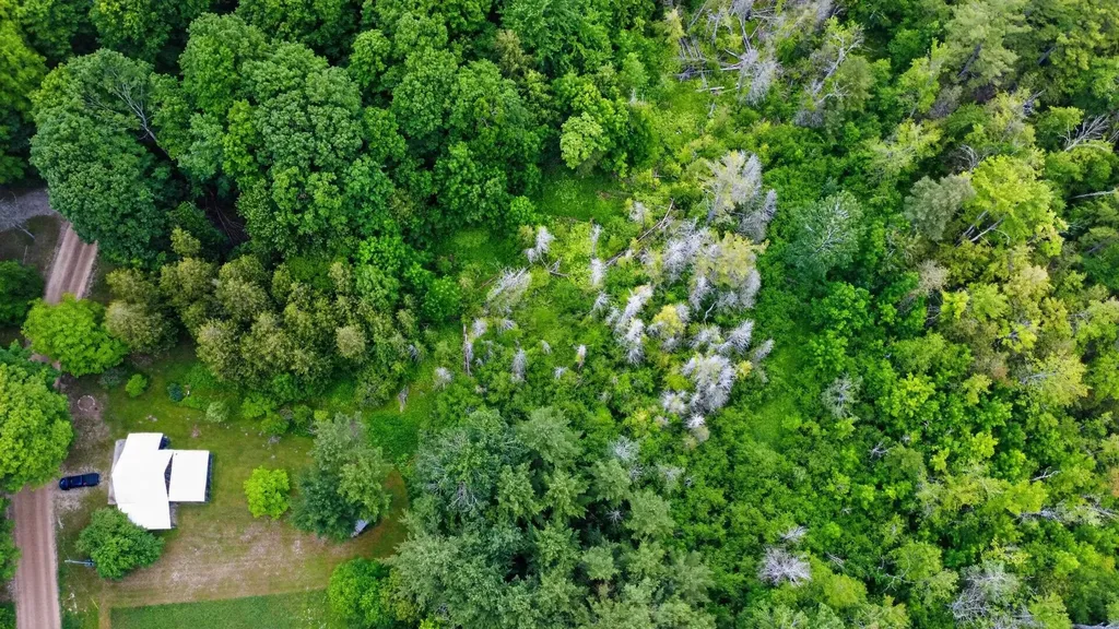 5885 Cedar Valley Road Long Lake Township MI 49684