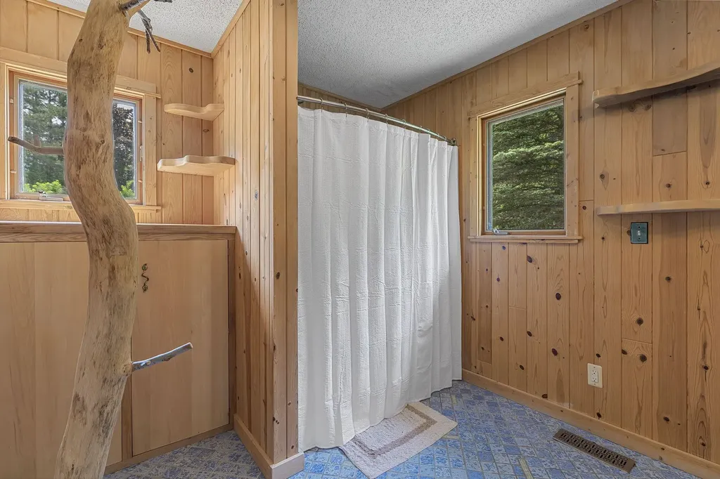 14764 Cinder Homestead Township MI 49617