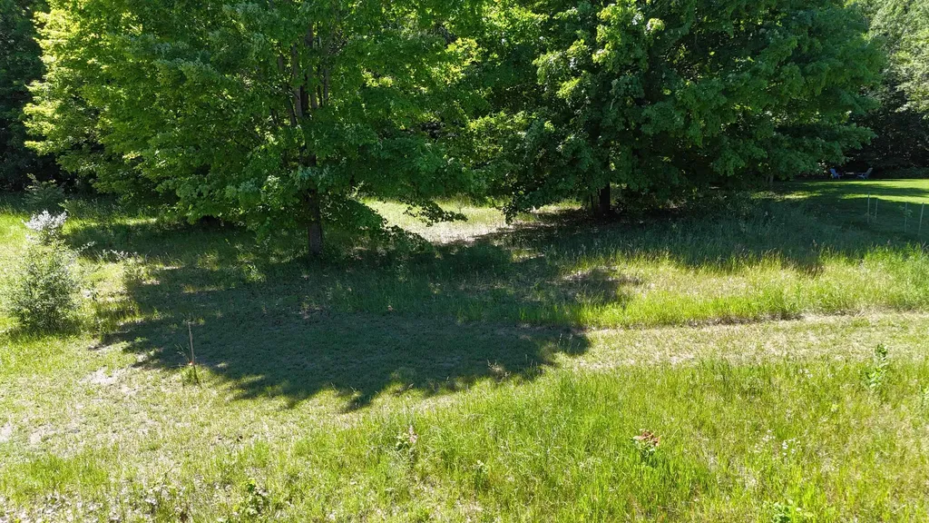 14857 Mallard Drive Peninsula Township MI 49686