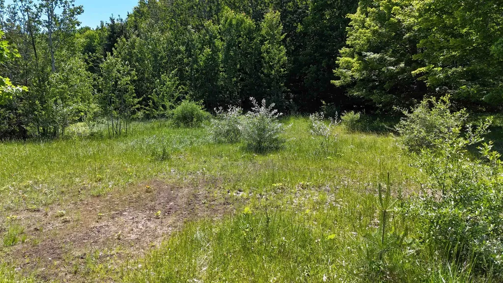 14857 Mallard Drive Peninsula Township MI 49686