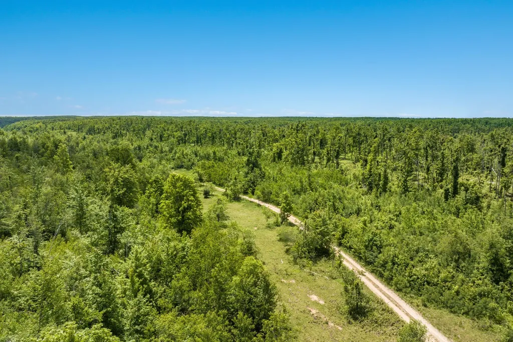 00 Mount Frederic Road Frederic Township MI 49733