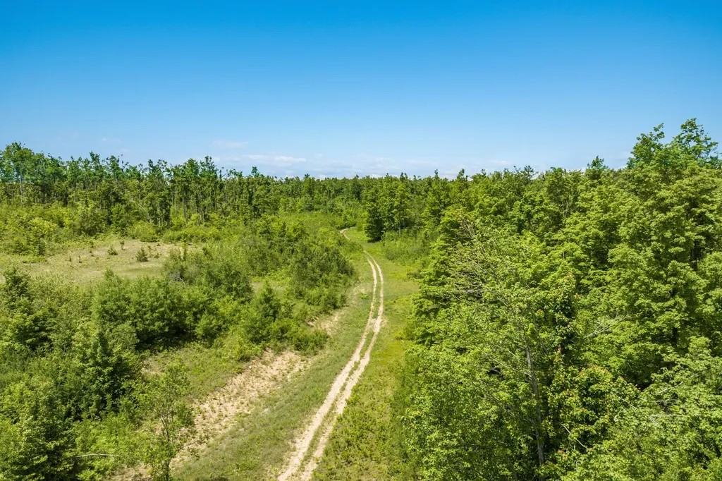 00 Mount Frederic Road Frederic Township MI 49733